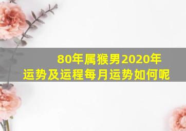 80年属猴男2020年运势及运程每月运势如何呢