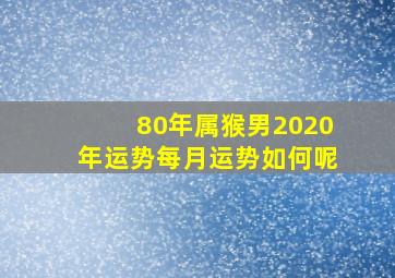 80年属猴男2020年运势每月运势如何呢