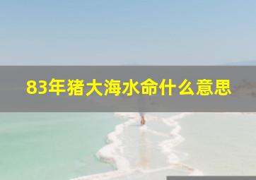 83年猪大海水命什么意思