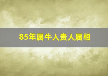 85年属牛人贵人属相