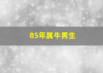 85年属牛男生