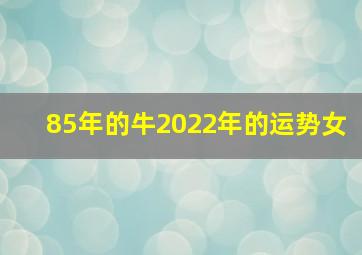 85年的牛2022年的运势女