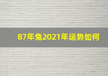 87年兔2021年运势如何