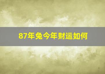 87年兔今年财运如何