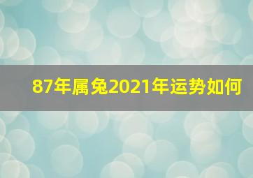 87年属兔2021年运势如何