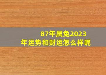 87年属兔2023年运势和财运怎么样呢