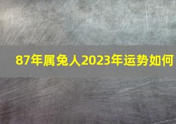 87年属兔人2023年运势如何