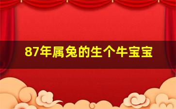 87年属兔的生个牛宝宝