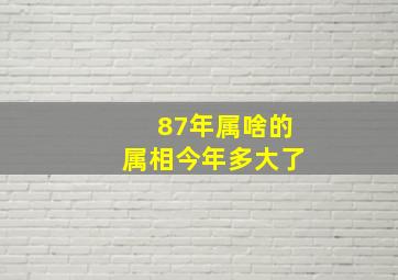 87年属啥的属相今年多大了