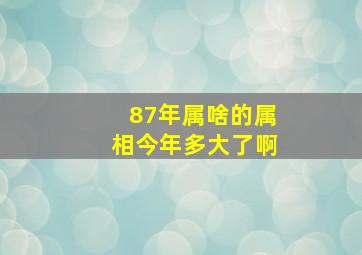 87年属啥的属相今年多大了啊