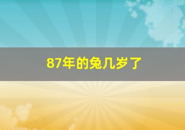 87年的兔几岁了