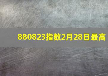 880823指数2月28日最高