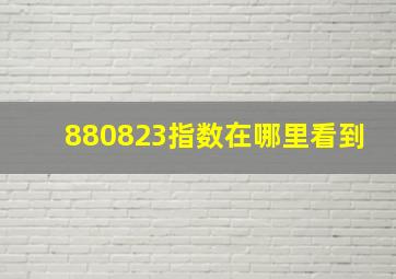 880823指数在哪里看到