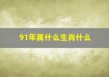 91年属什么生肖什么