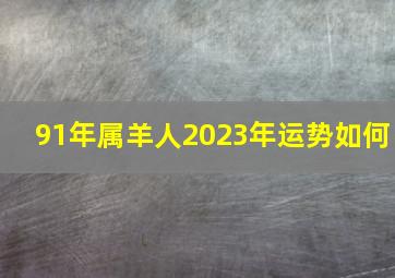 91年属羊人2023年运势如何