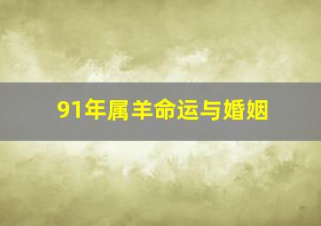 91年属羊命运与婚姻