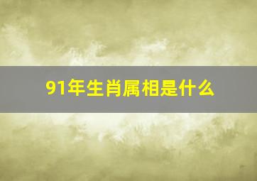 91年生肖属相是什么