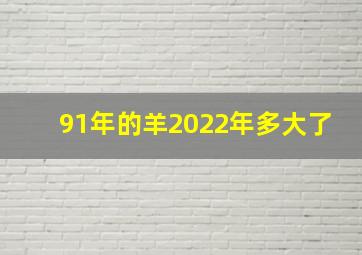 91年的羊2022年多大了