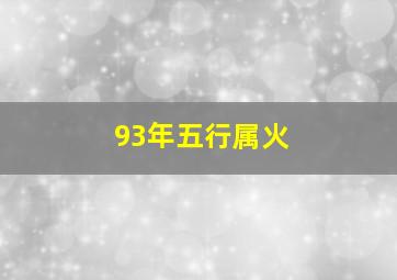 93年五行属火