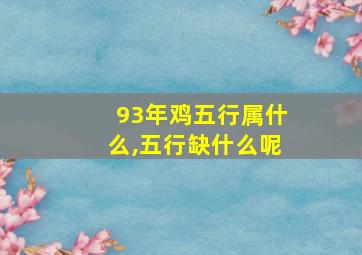 93年鸡五行属什么,五行缺什么呢