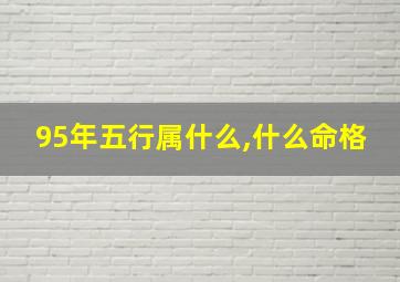 95年五行属什么,什么命格