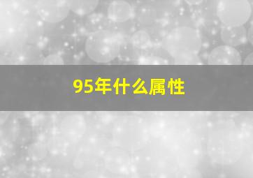 95年什么属性