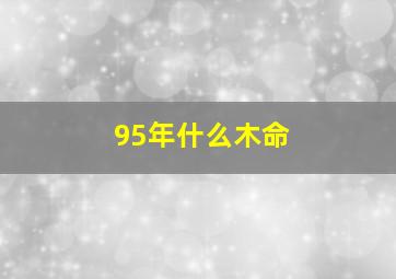 95年什么木命