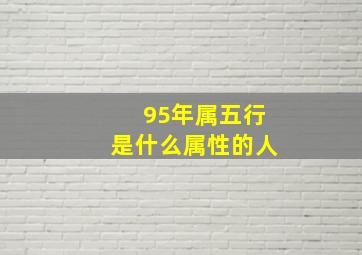 95年属五行是什么属性的人