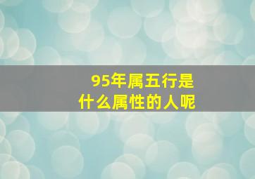 95年属五行是什么属性的人呢