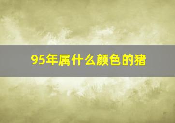 95年属什么颜色的猪