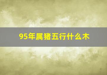 95年属猪五行什么木