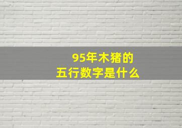 95年木猪的五行数字是什么