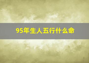 95年生人五行什么命