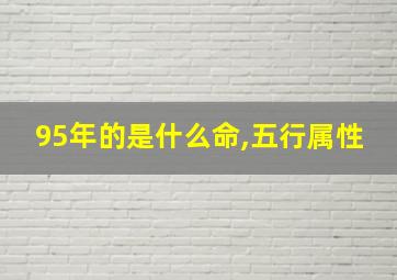 95年的是什么命,五行属性