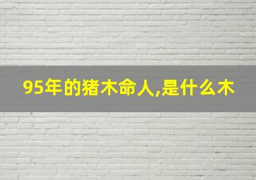 95年的猪木命人,是什么木