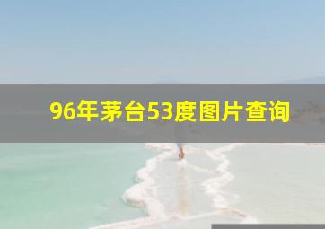 96年茅台53度图片查询