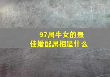 97属牛女的最佳婚配属相是什么