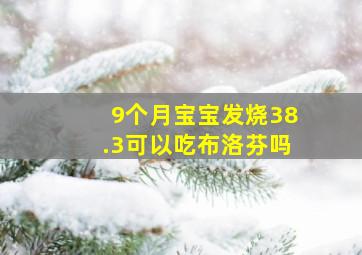 9个月宝宝发烧38.3可以吃布洛芬吗