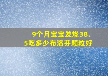 9个月宝宝发烧38.5吃多少布洛芬颗粒好