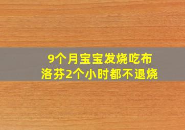 9个月宝宝发烧吃布洛芬2个小时都不退烧