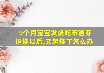 9个月宝宝发烧吃布洛芬退烧以后,又起烧了怎么办