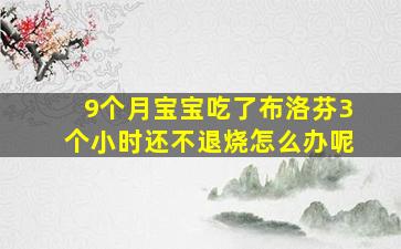 9个月宝宝吃了布洛芬3个小时还不退烧怎么办呢