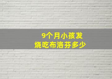 9个月小孩发烧吃布洛芬多少