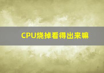 CPU烧掉看得出来嘛