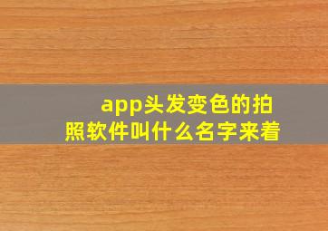 app头发变色的拍照软件叫什么名字来着