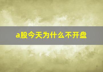 a股今天为什么不开盘