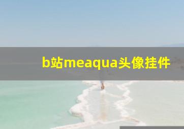 b站meaqua头像挂件