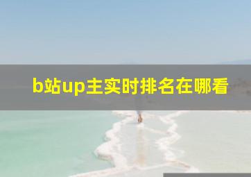 b站up主实时排名在哪看