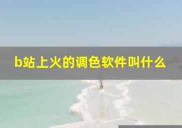 b站上火的调色软件叫什么