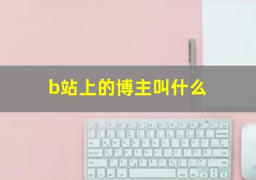 b站上的博主叫什么